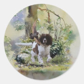 Sticker Rond Anglais Springer Spaniel (Devant)