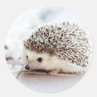 Sticker Rond Animal de Cute