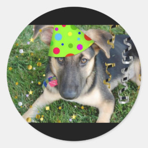 Sticker Rond Animal de fête d'anniversaire Berger allemand