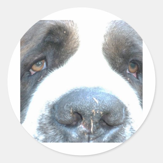 Sticker Rond Animaux (Devant)