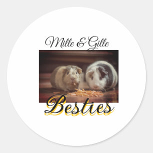 Sticker Rond Animaux de compagnie amis besties ajouter nom anim