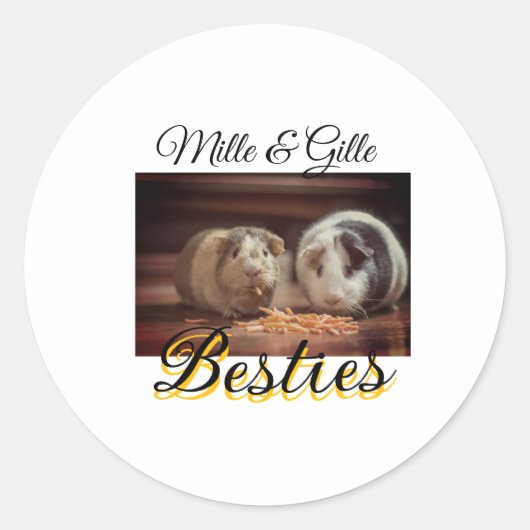 Sticker Rond Animaux de compagnie amis besties ajouter nom anim (Devant)