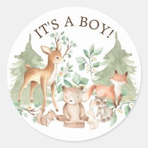 Sticker Rond Animaux de forêt de bois C'est un chevalier de pré