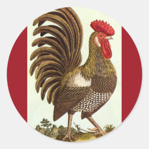 Sticker Rond Animaux de la ferme vintage Poulets, fier coq