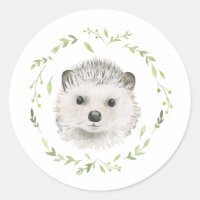 Animaux forestiers Hérisson Végétal Bois Mignonne