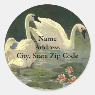 Sticker Rond Animaux sauvages oiseaux vintage, cygnes blancs vi