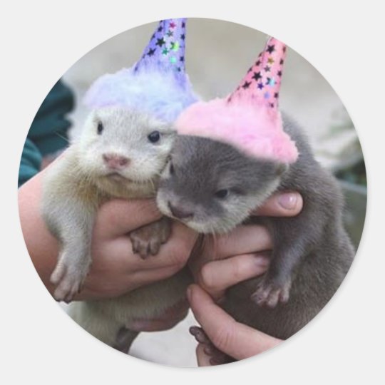 Sticker Rond Anniversaire De Loutre Zazzle Be