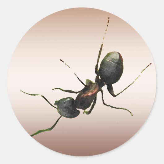 Sticker Rond Ant (Devant)