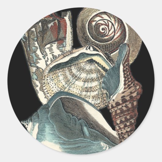 Sticker Rond Anthologie des coquillages (Devant)