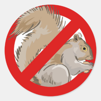 Sticker Rond Anti-écureuil