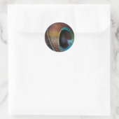 Sticker Rond Antique Hues Peacock Feather Eye (Sac)