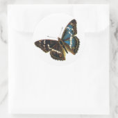 Sticker Rond Apatura iris (Sac)