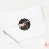 Sticker Rond Appaloosa Horse Running 4 (Enveloppe)