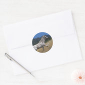 Sticker Rond Appaloosa Horse Running up Mountain (Enveloppe)
