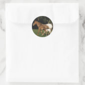 Sticker Rond Appaloosa Mare Et Foie (Sac)