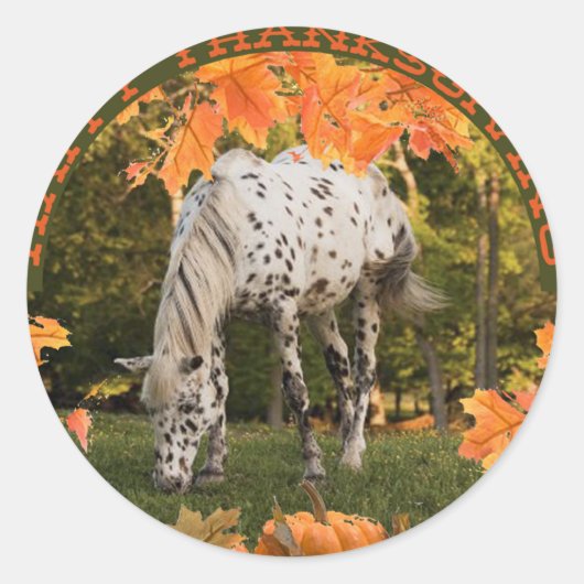 Sticker Rond Appaloosa Thanksgiving (Devant)