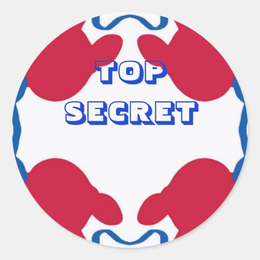 STICKER ROND APPAREIL SECRET TOP (Devant)