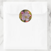 Sticker Rond Apple Blossom in Spring (Sac)