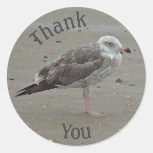 Sticker Rond Appréciation côtière de Merci Seagull Beach
