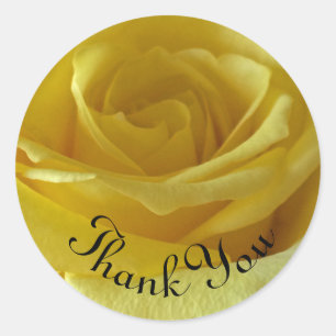 Sticker Rond Appréciation photo rose Merci
