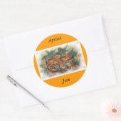 STICKER ROND APRICOTS (Enveloppe)