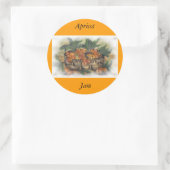 STICKER ROND APRICOTS (Sac)