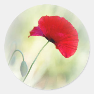 Sticker Rond Apron avec pavot rouge "Soyez heureux !"