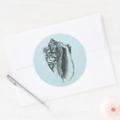 Sticker Rond Aqua Conch Shell (Enveloppe)