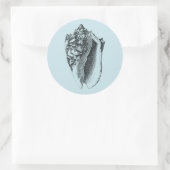 Sticker Rond Aqua Conch Shell (Sac)