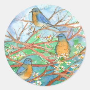 Sticker Rond Aquarelle Bluebirds Cerisier Fruit Fleur Arbre