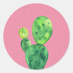 Sticker Rond Aquarelle cactus sur rose. Vert mignon succulent