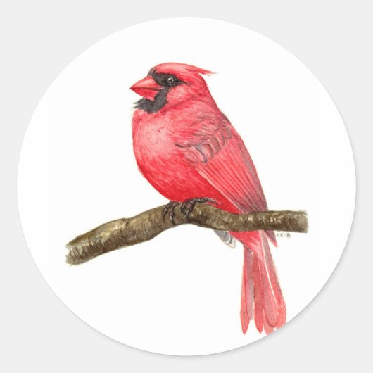 Sticker Rond Aquarelle cardinale (Devant)