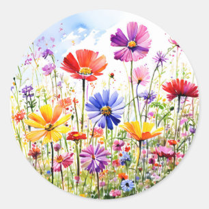 Sticker Rond Aquarelle colorée Fleur sauvage Meadow