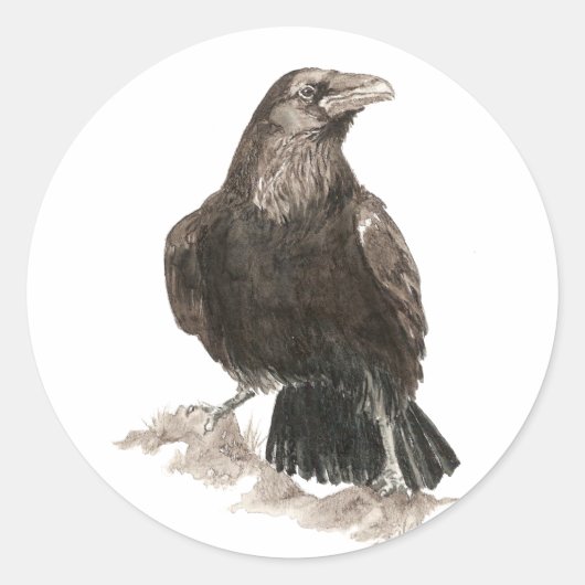 Sticker Rond Aquarelle Corbeau Oiseau Nature Art (Devant)