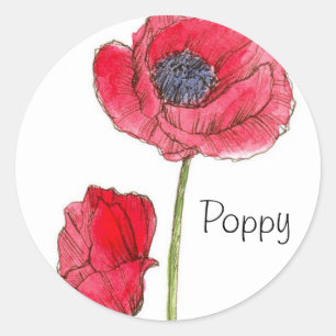 Sticker Rond Aquarelle de fleurs rouges de pavot Art botanique