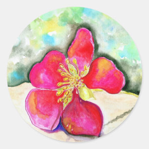 Sticker Rond Aquarelle de fraise rose