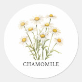 Sticker Rond Aquarelle de l'Herbe Chamomile (Devant)