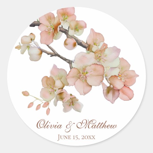 Sticker Rond Aquarelle douce rose orangé fleurs de printemps (Devant)