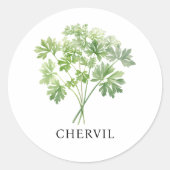 Sticker Rond Aquarelle Herb Chervil (Devant)