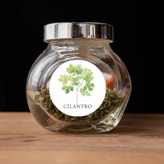 Sticker Rond Aquarelle Herb Cilantro