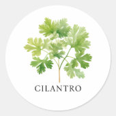 Sticker Rond Aquarelle Herb Cilantro (Devant)