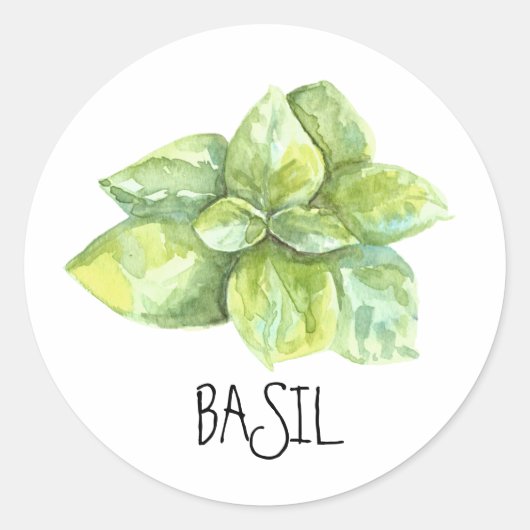 Sticker Rond Aquarelle Herbe Basil (Devant)