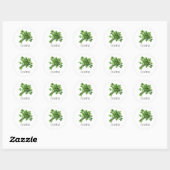 Sticker Rond Aquarelle Herbe Cilantro (Feuille)