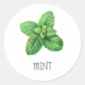 Sticker Rond Aquarelle Herbe Menthe (Devant)