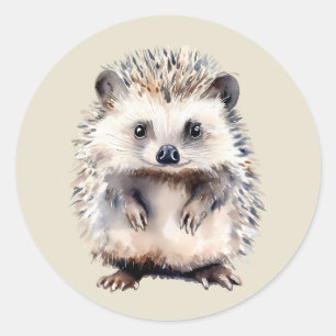 Sticker Rond Aquarelle Hérisson Mignon Animal Sauvage Art