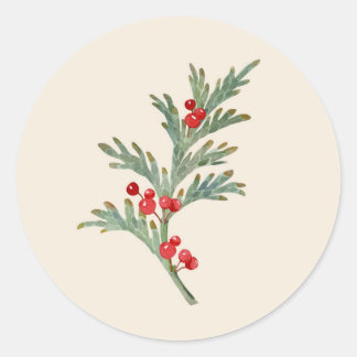 Sticker Rond Aquarelle Juniper de Noël avec baies
