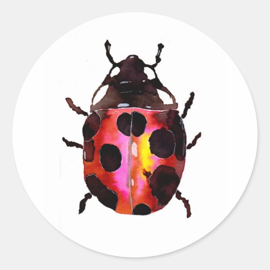 Sticker Rond Aquarelle Ladybug (Devant)