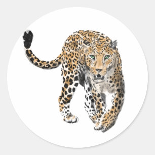 Sticker Rond aquarelle léopard jungle chat animal peint vert