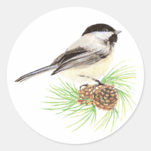 Sticker Rond Aquarelle mignonne Pickadee Bird Pine Tree