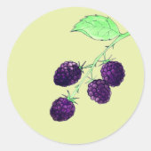 Sticker Rond Aquarelle Mûre Violette Botanique (Devant)